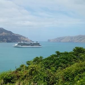 Meet your Posher, Penny